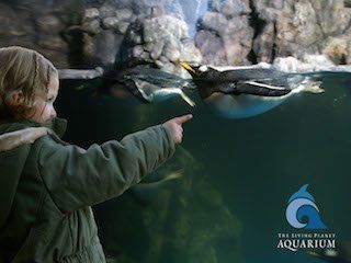 Living planet aquarium