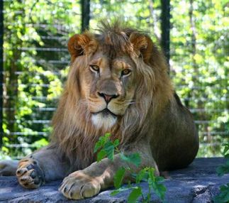 Blank park zoo