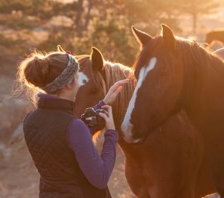 Wild horse sanctuary