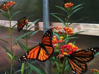Rusk ranch nature center