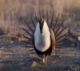 camas national wildlife refuge idaho outdoor adventure