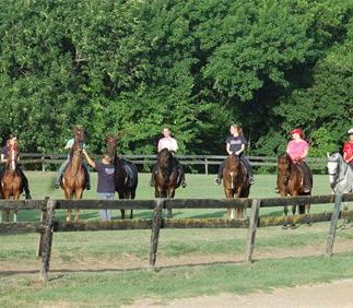 Group Lesson