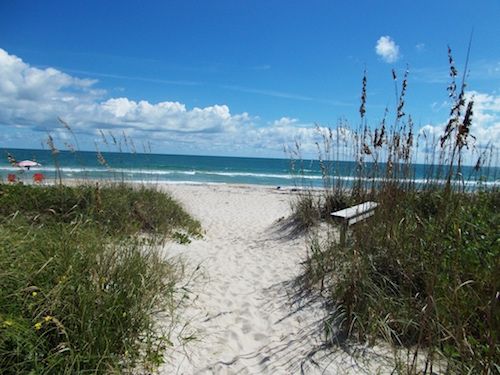 avalon state park in Florida is swimming, nature, miles of beach and canoeing for kids