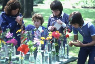 a classroom flower arranging
