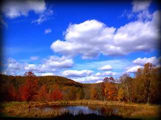 Voorhees state park