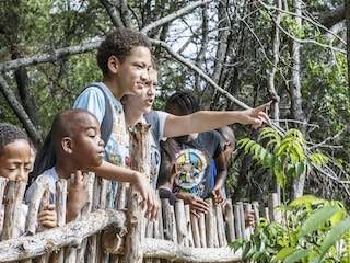 Dogwood canyon audubon center