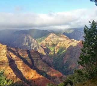 Koke'e Natural History Museum is a little museum with heart with exhibits on Kaua'i' s ecology, geology and climatology!
