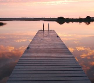  timucuan preserve