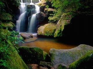 Dismals canyon
