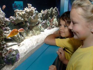 Florida aquarium