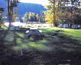 Pine rv