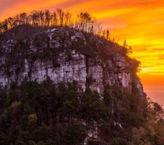 pilot mountain state park is a popular north carolina state park with rock climbing, canoeing and camping