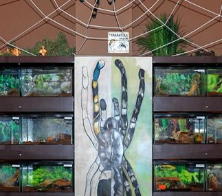 insectropolis bugseum new jersey