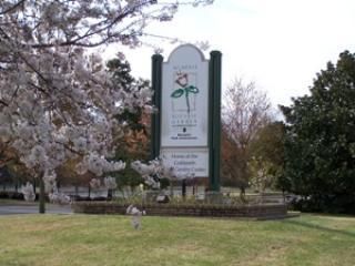 Memphis botanic garden