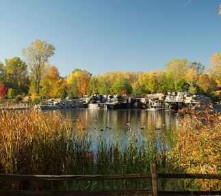 Bay Beach Wildlife Sanctuary in Wisconsin is a beautiful day out in nature for kids with hiking and skiing trails