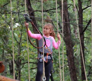 Tree to tree adventure park