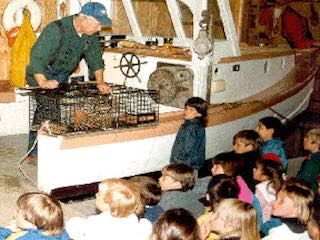 Mount desert oceanarium