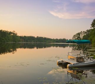 Magnolia springs state park