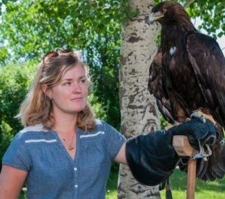 teton raptor center birds of prey sanctuary learning and programs year round in Wyoming