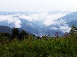 Harlan