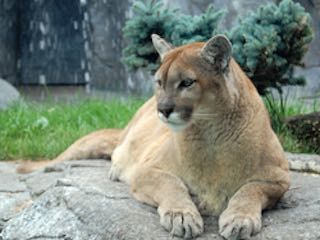 Washington park zoo