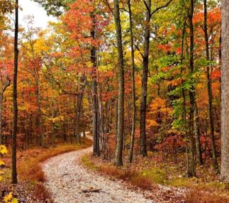Kanawha state forest west virginia outdoor adventure for the family