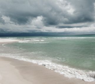 camp helen state park florida