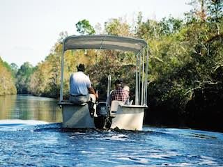 Acadian swamp tours