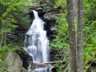Ricketts glen state park