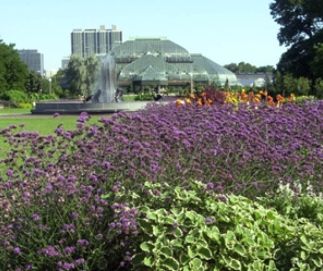 Lincoln Park Conservatory