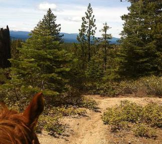 horseback riding in the Sierra Desert with Zephyr Cove Stables
