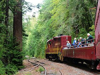 Skunk Train