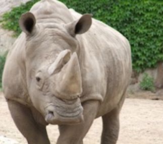 henry vilas zoo madison wisconsin free entry zoo for kids