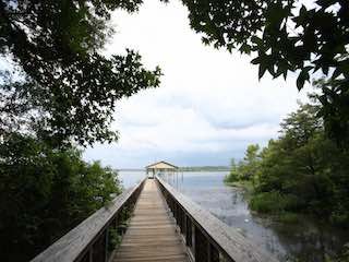 Lake darbonne state park