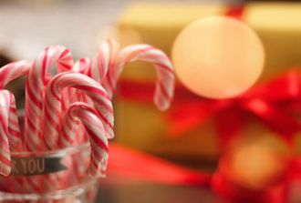 christmas candy canes with christmas tree and lights