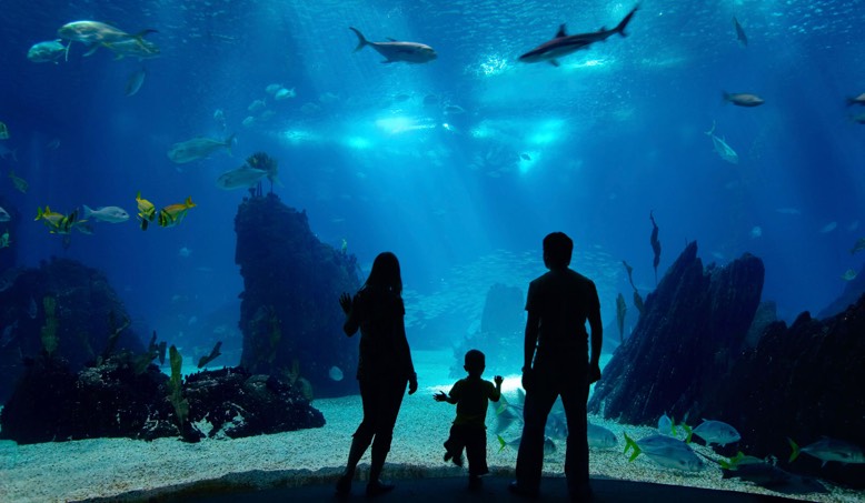 aquarium
