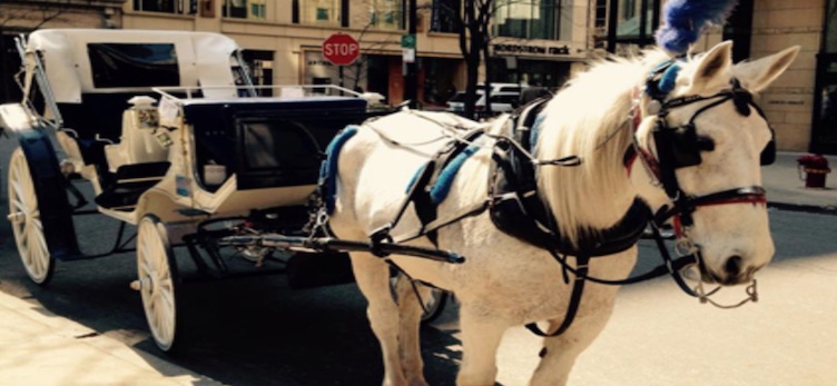 Antique Coach & Carriage